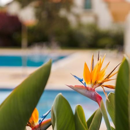 Апартаменты Sunny Getaway In Funchal Экстерьер фото